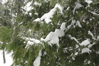 MK Winter11 048